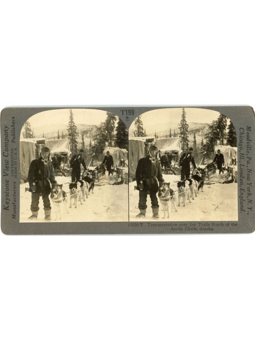 Keystone Stereoview 11530 Alaska Sled Dogs Arctic Circle Gold Rush Photo Card